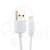 DTC-MCU-X1-W